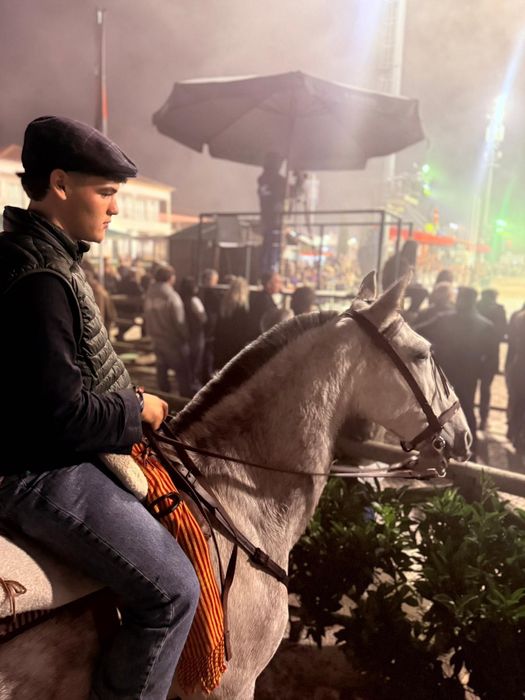 Égua cruzada Lusitano