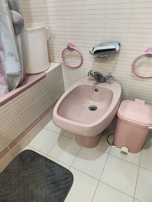 Louça de wc rosa