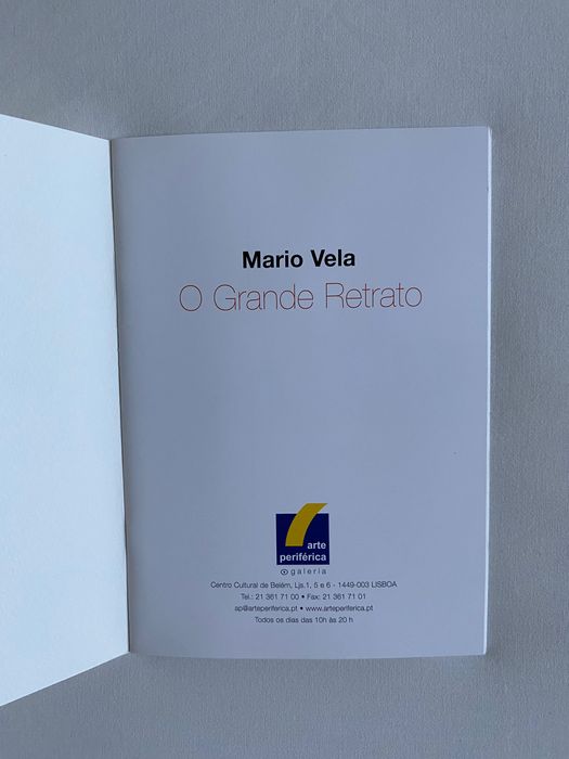 Pintura acrílico - Mario Vela