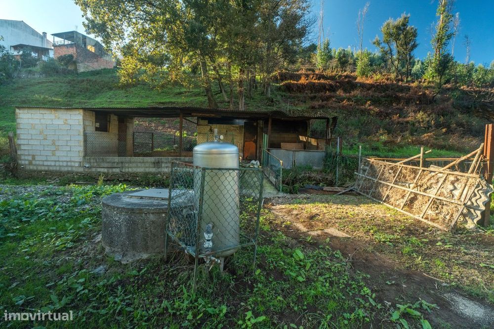 Terreno em Macinhata do Vouga