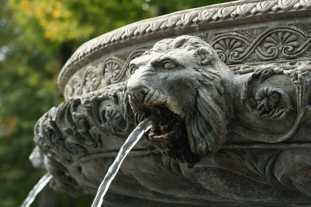 Комплект для макрозйомки MIKAR/S 55mm f4.5 на Canon