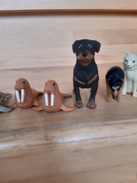 Фігурки тварин Safari, k&m