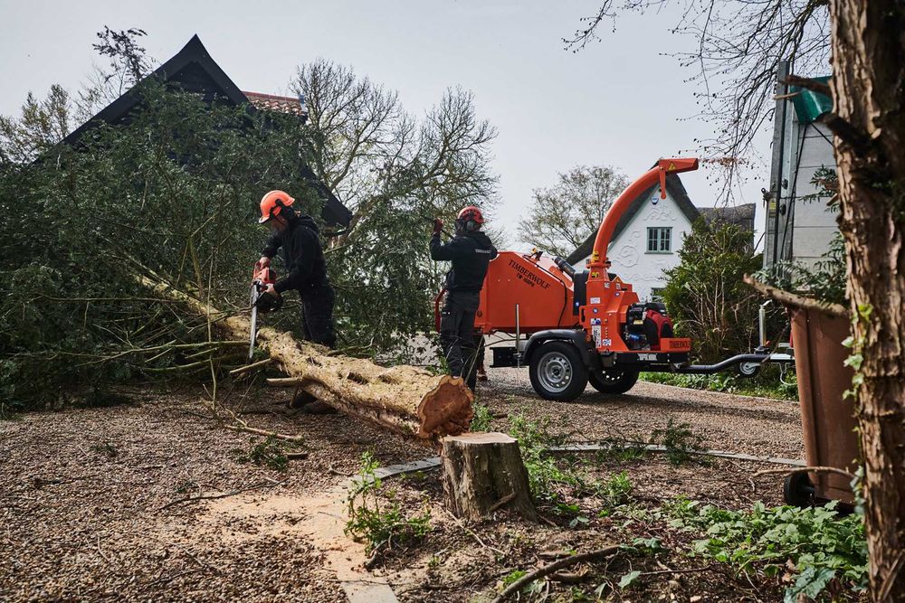 Rębak rozdrabniacz do gałęzi Timberwolf TW 160PH 11 cm  22km HONDA