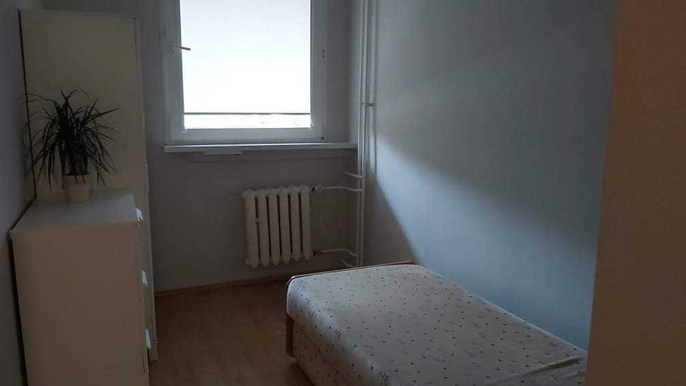 3 pokojowe mieszkanie na wynajem