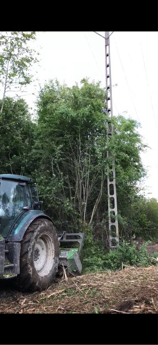 Mluczowanie//Karczowanie//Koszenie