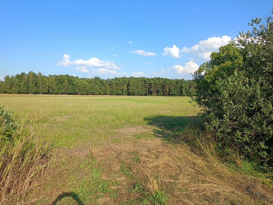 Działka,łaka pole 39 ar