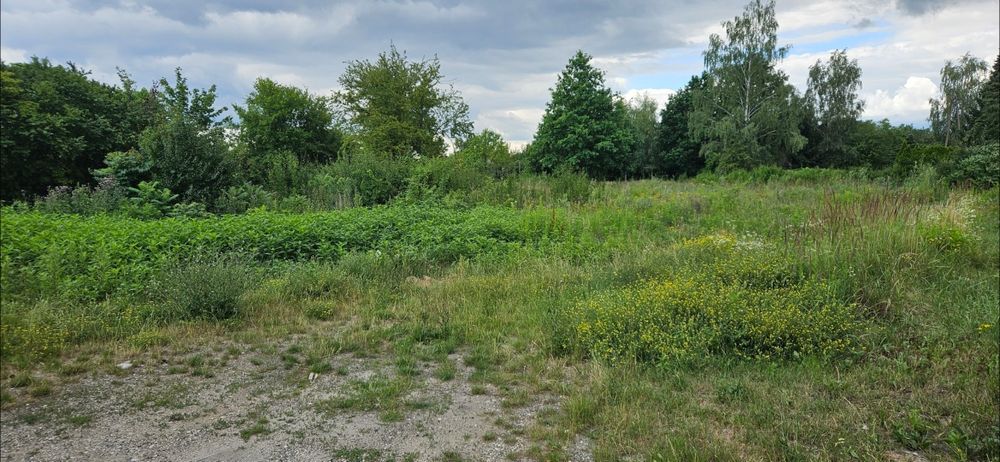 Działka budowlano-usługowa w Piasecznie/Gołkowie  2200 mkw