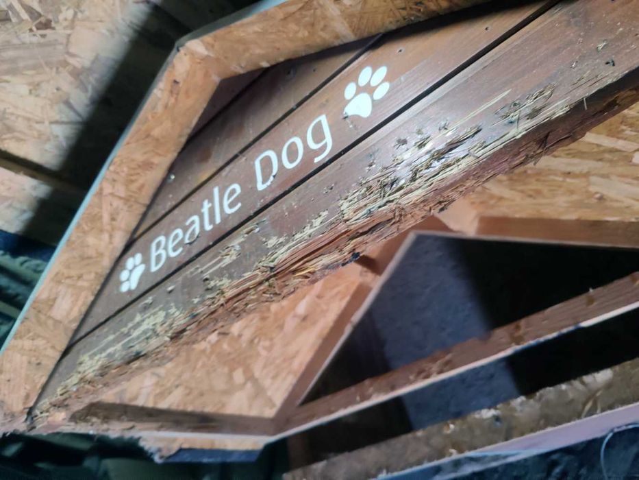 Casota de madeira para cão – grande e robusta