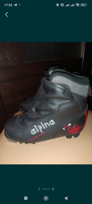 Ботинки фирменные лыжные Alpina T5