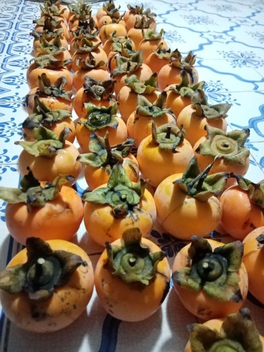 Diospiros Reservas até Dezembro