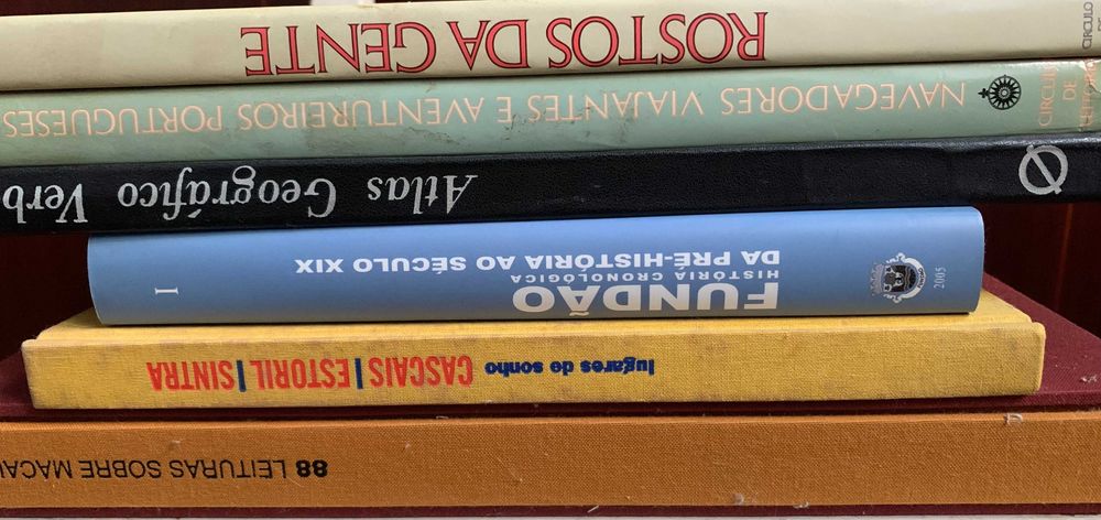 Lote de livros variados