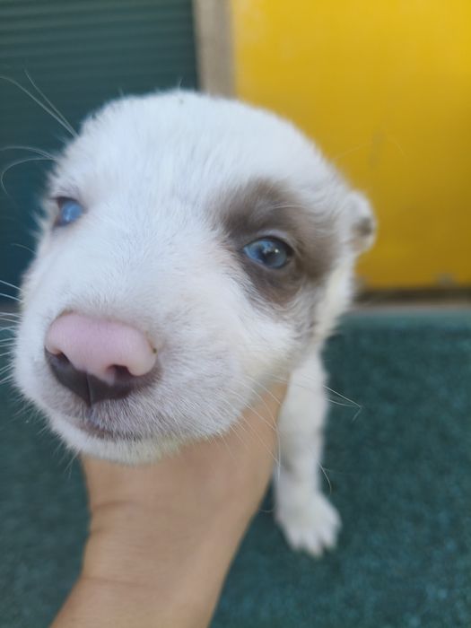 Linda menina inteligente