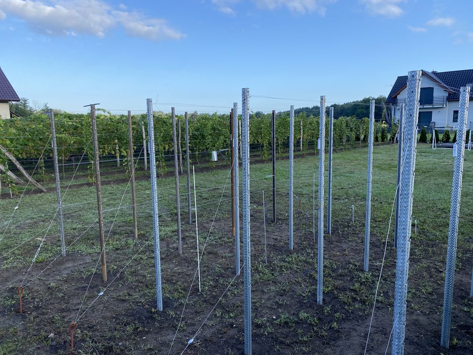 Słupki do winnic - różne rodzaje