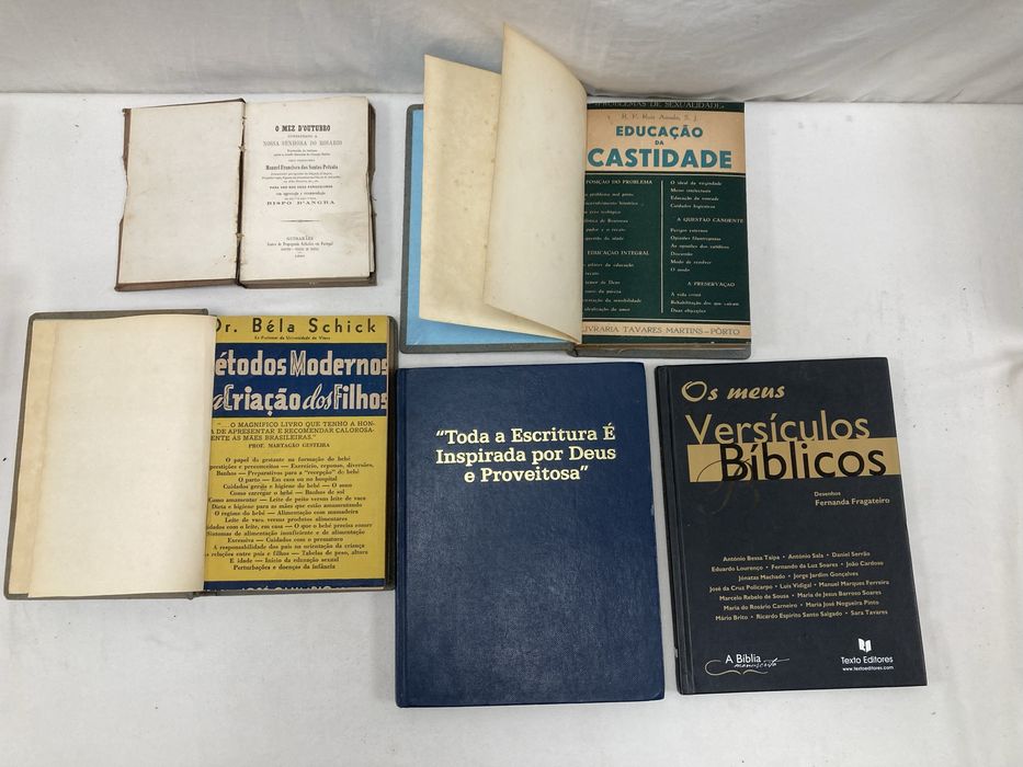 Livros A Bíblia Sagrada Novo Testamento 1939