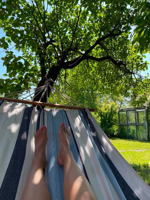 Działka ROD Golikówka, Kraków, 3 ar z domkiem i szklarnią