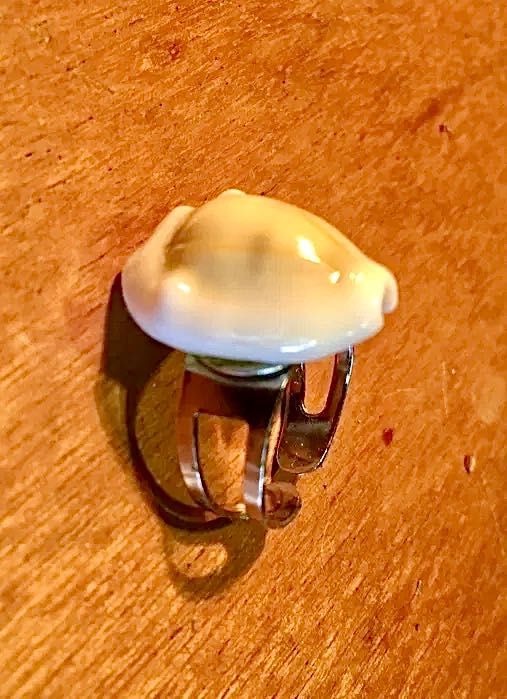 BÚZIOS MOEDA - colar (95 cm/s) e anel - século XX