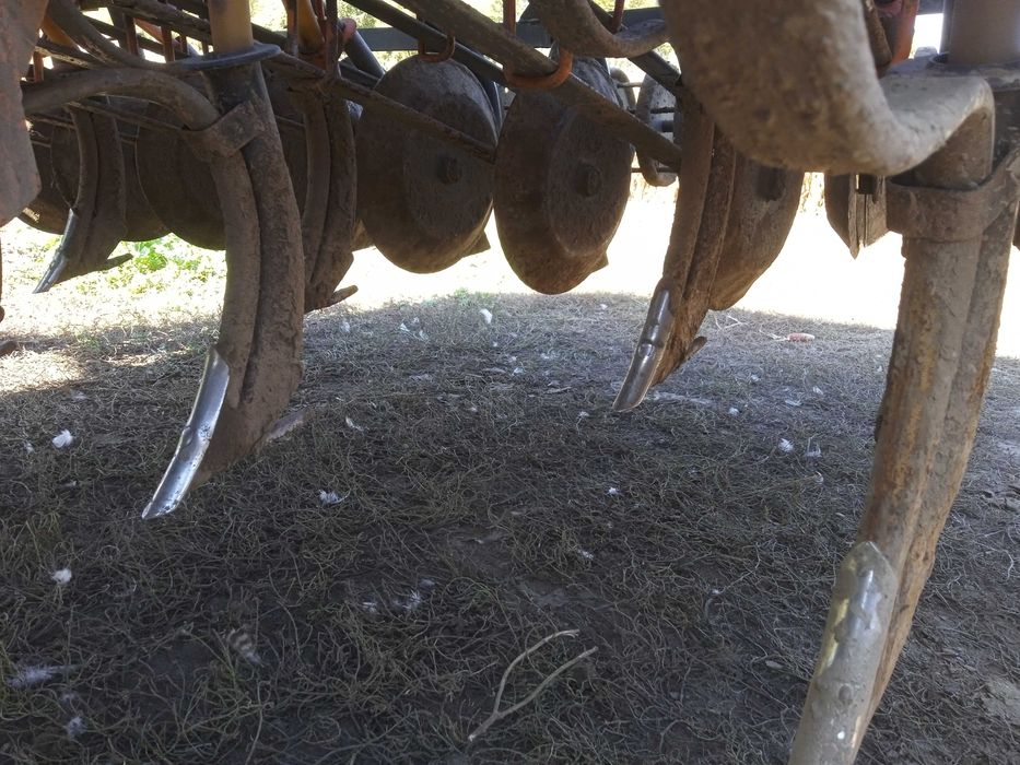 Продам зернову сівалку дискову