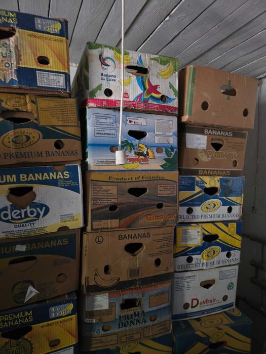 Ящик з під бананів