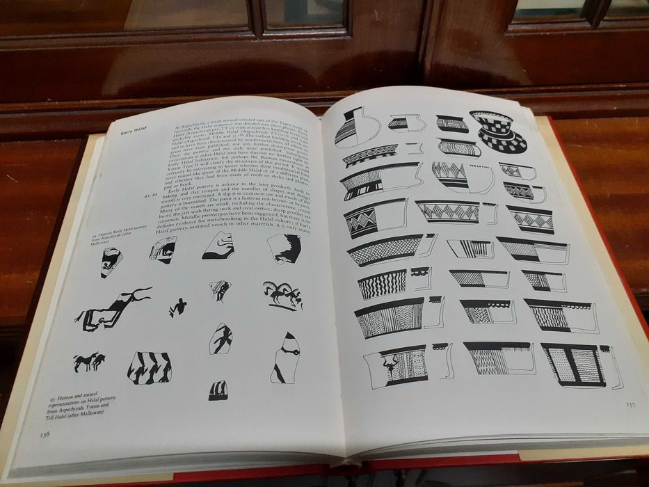 Livro The neolithic of the near East - the world of archaelogy