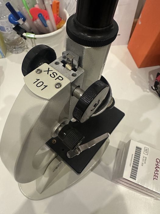 Microscopio XSP 101 + 150 lamelas