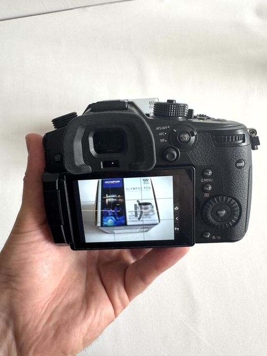 Panasonic Lumix GH5 Body + додатковий акум