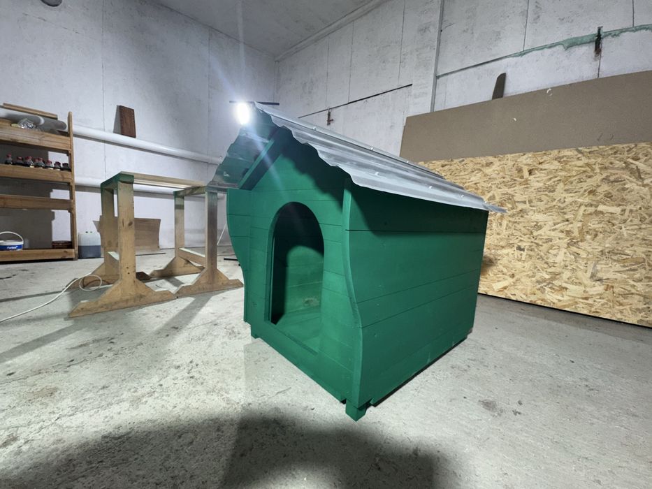 Буда для песика)