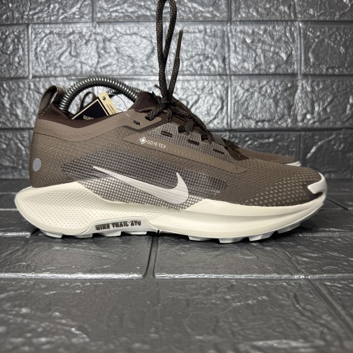 Жіночі кросівки Nike Pegasus Trail 5 Gore-Tex Mink Brown HQ7494-200
