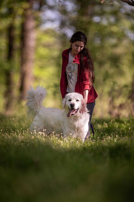 Nazir- wyjątkowy pies, dla wyjątkowego człowieka - do adopcji.
