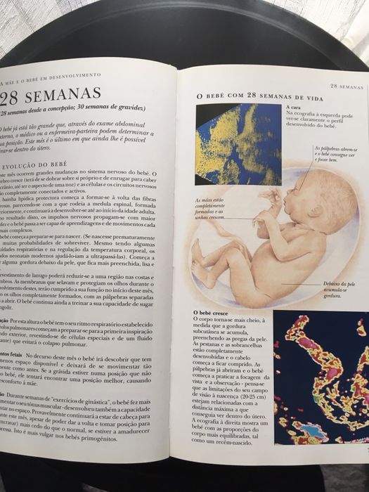 O Grande Livro da Gravidez