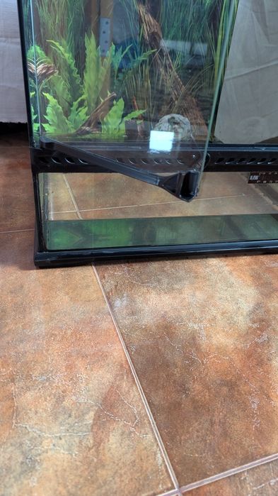 Тераріум Exo Terra Natural Terrarium скляний, 45 x 45 x 45 см
