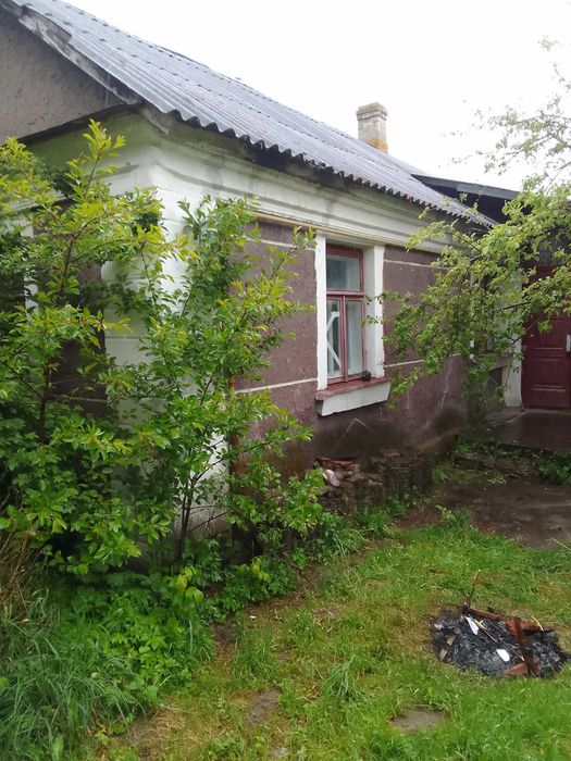 Продається будинок в с. Великий Житин