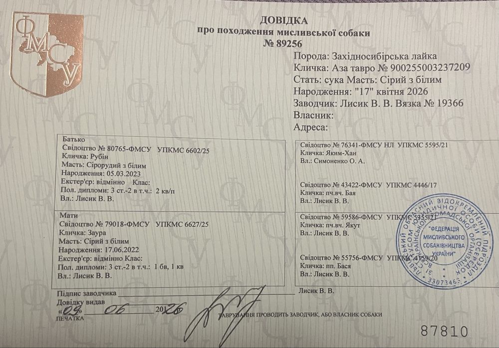 Продаються собачата ЗСЛ