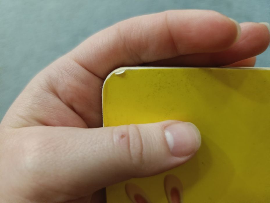 День народження білочки