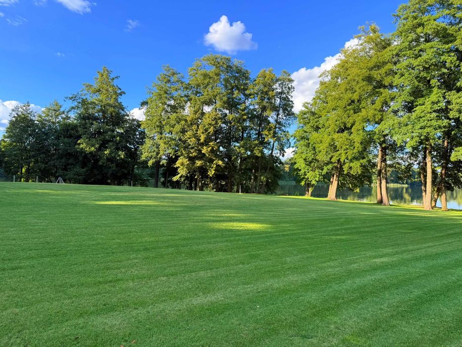 Wydzierżawie działkę nad jeziorem