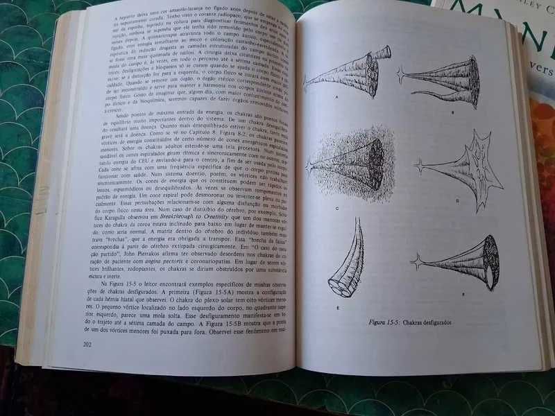 "MÃOS DE LUZ : Guia p/ CURA através Campo Energia Humano" de Barbara Ann Brennan