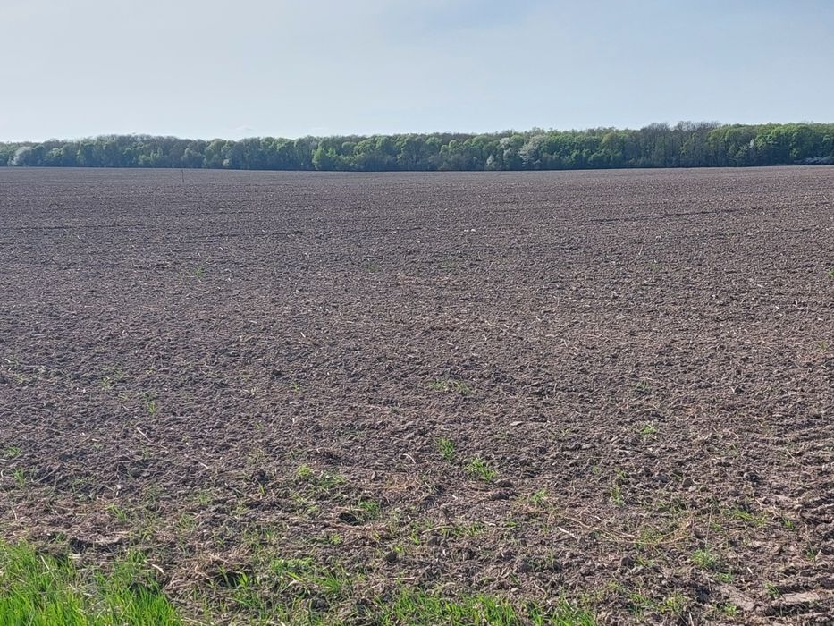 Продам пай 2 гектари Колоденка