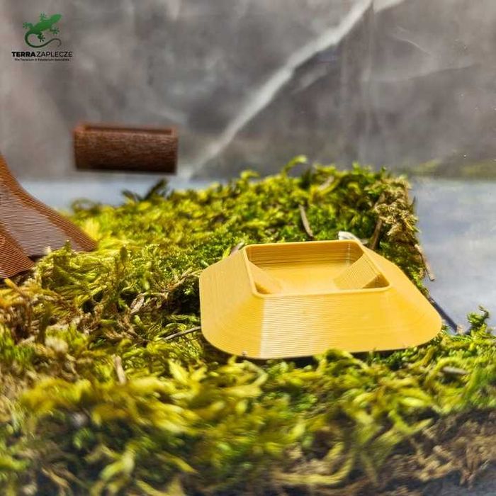 Mała Miska do Terrarium dla Pająka modliszki gadów Stojąca karmnik