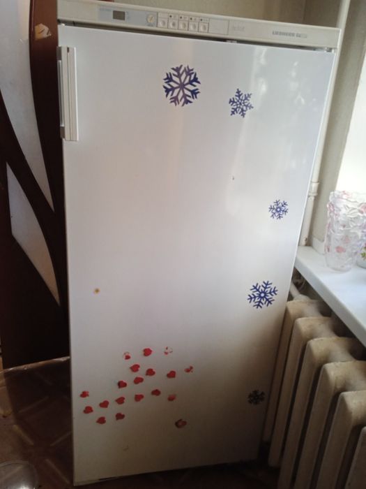 Морозилка Snaige NoFrost