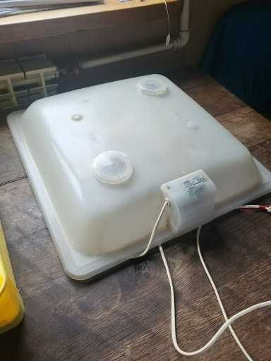 Inkubator do wylęgu jaj