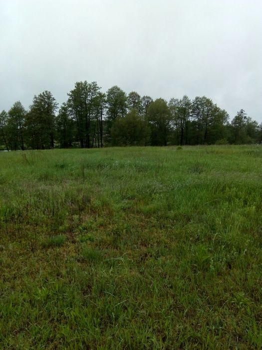 Продається земельна ділянка