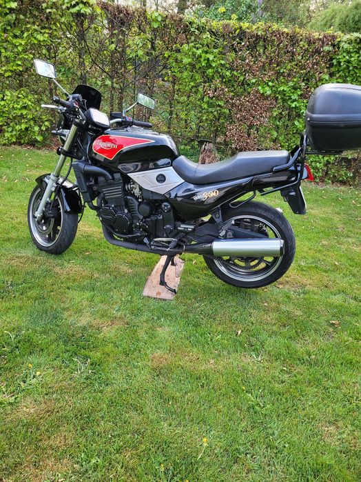 TRIUMPH TRIDENT 900