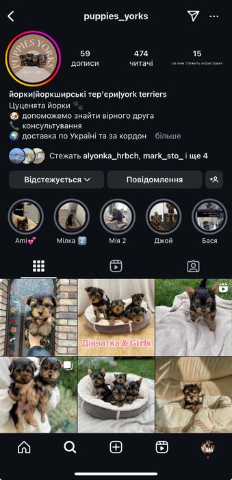 Крихітка йорік готовий до переїзду)