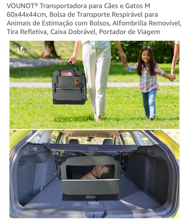 Transportadora cães