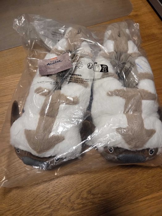 Kapcie Cropp Avatar: Ostatni Władca Wiatru