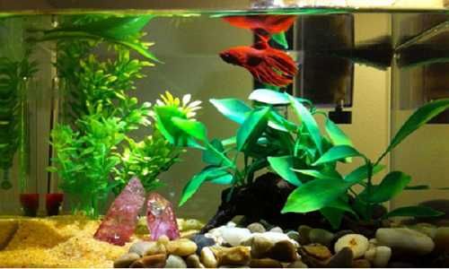 Кварцовий  обкатаний пісок для акваріума. фракція 0,5-2мм 5 кг