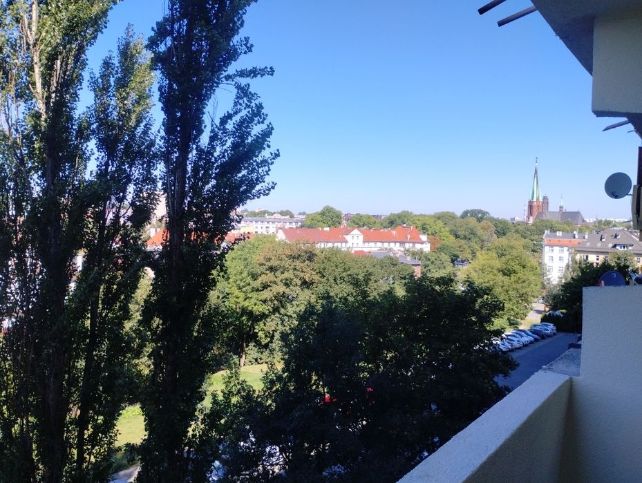Mieszkanie Wynajem Kochanowskiego