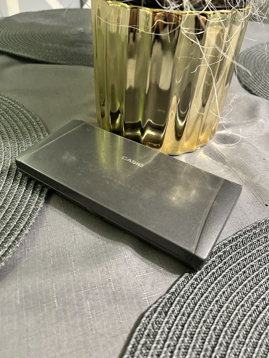 Nawigator biznesowy Casio