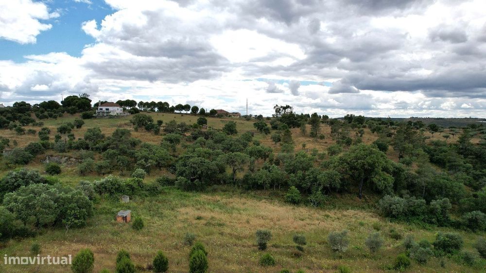 Terreno