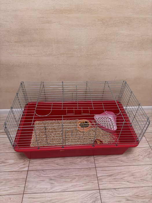 Продамо кролика *Висло Вухий Британець*