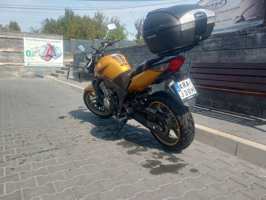Honda Cbf 600 2009